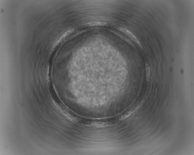 X0000079280490200612081757