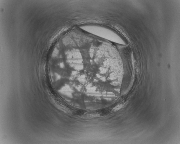 X0000079280491200612081757