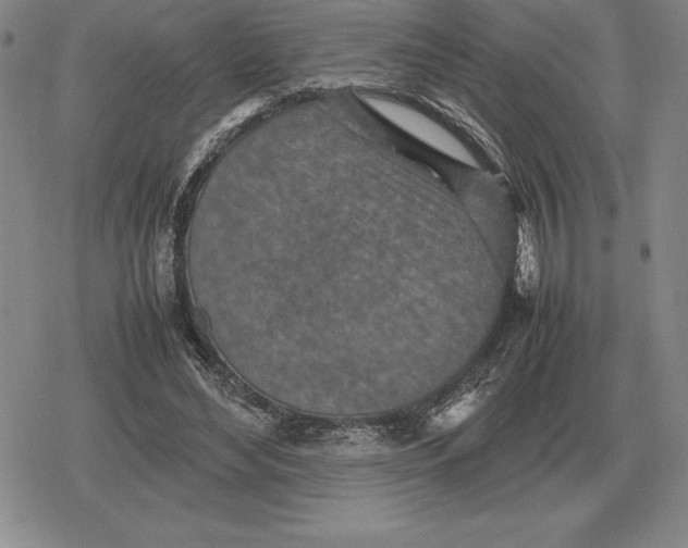 X0000079280492200612081757