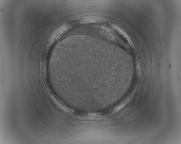 X0000079280493200612081757