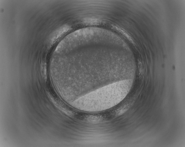 X0000079280494200612081757