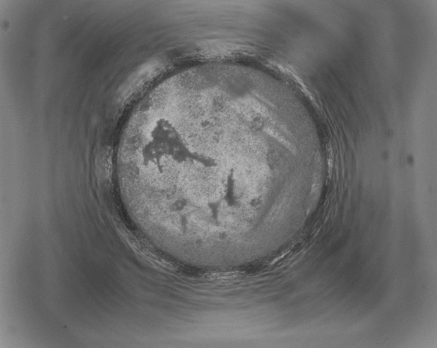 X0000079280495200612081757