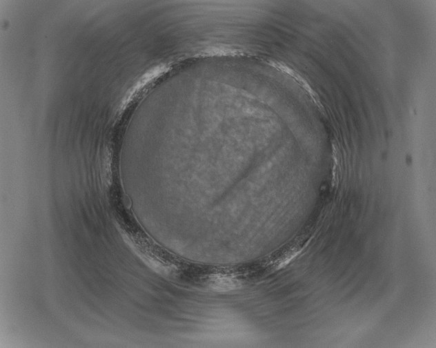 X0000079280496200612081757