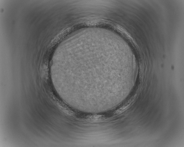 X0000079280497200612081757