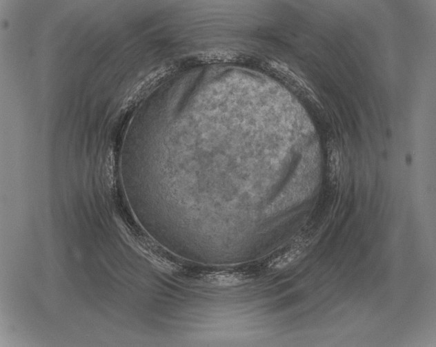 X0000079280498200612081757