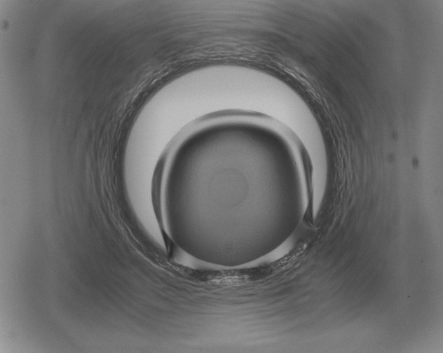 X0000079280499200612081757