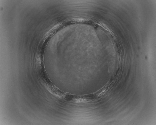 X0000079280500200612081757