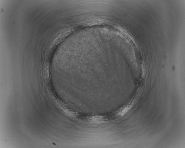 X0000079280501200612081757