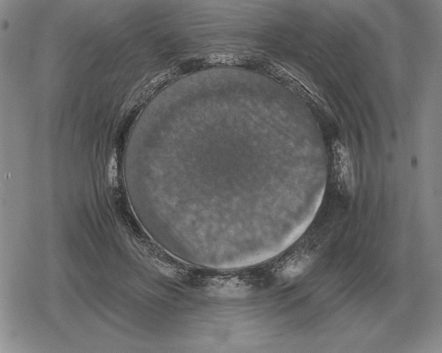 X0000079280502200612081756