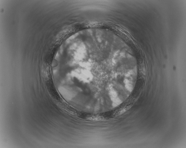 X0000079280503200612081756