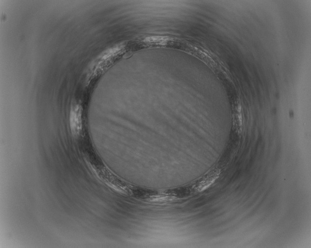 X0000079280504200612081756