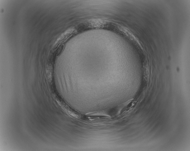 X0000079280505200612081756