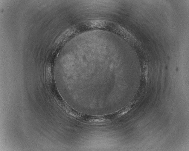 X0000079280506200612081756