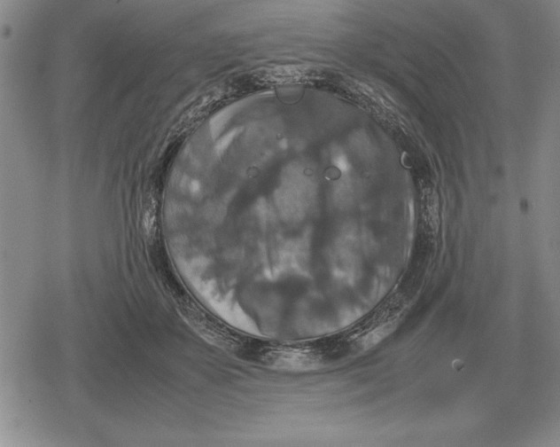 X0000079280507200612081756