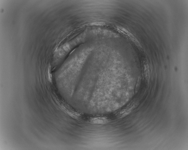 X0000079280508200612081756