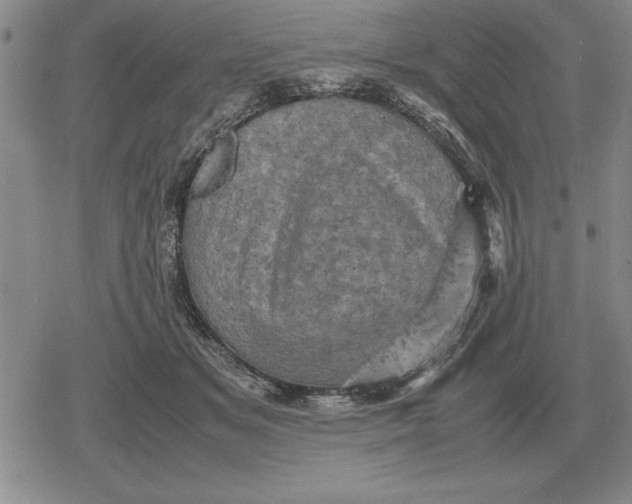 X0000079280509200612081756