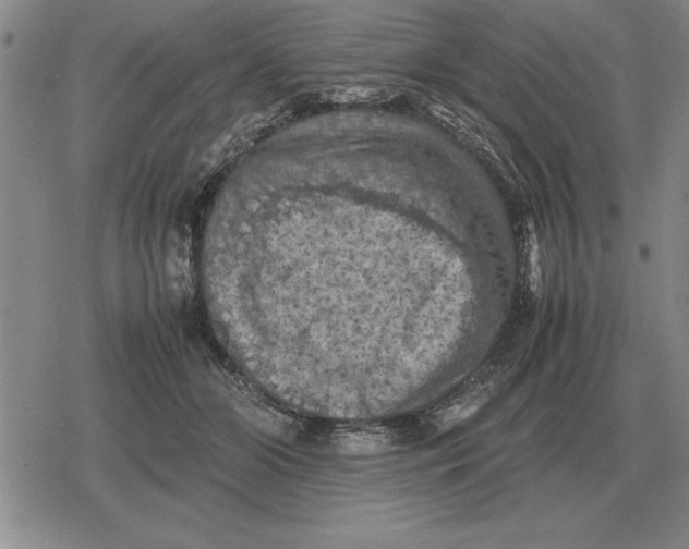 X0000079280510200612081756