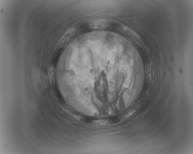 X0000079280511200612081756