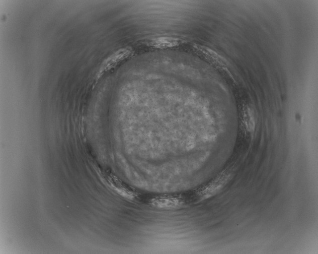 X0000079280512200612081756