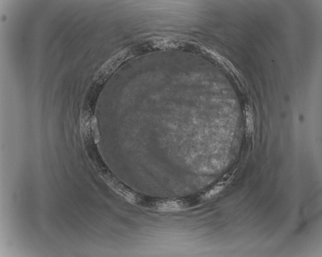 X0000079280513200612081756