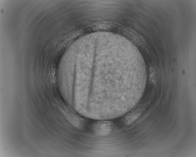 X0000079280514200612081756