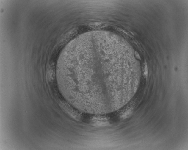 X0000079280515200612081756