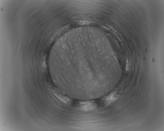 X0000079280516200612081756