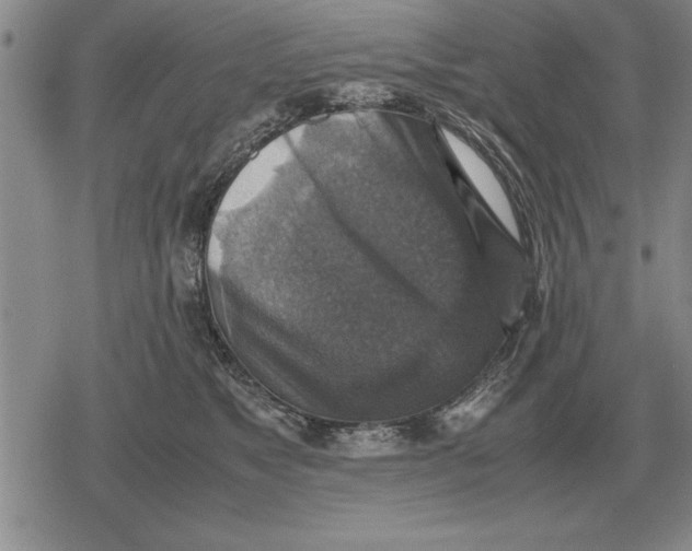 X0000079280517200612081756