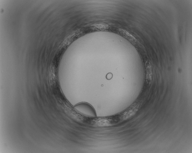 X0000079280518200612081756