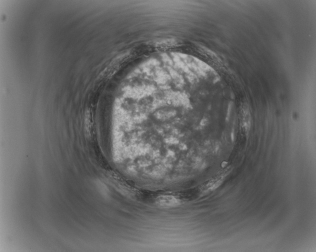 X0000079280519200612081756