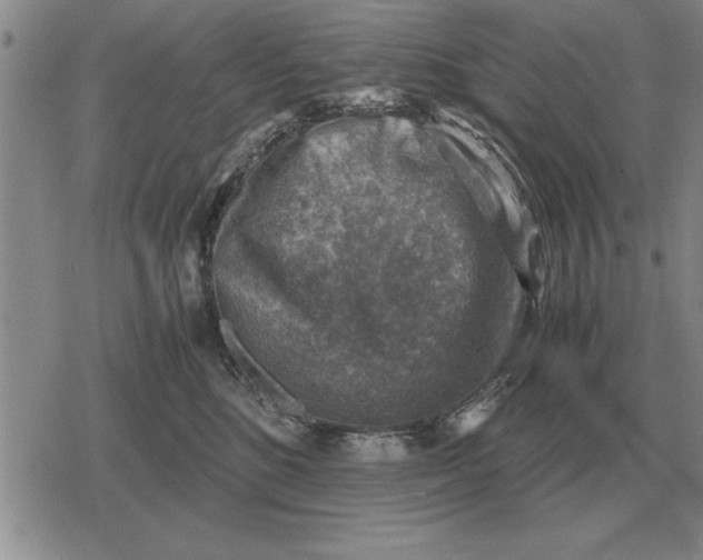 X0000079280520200612081756