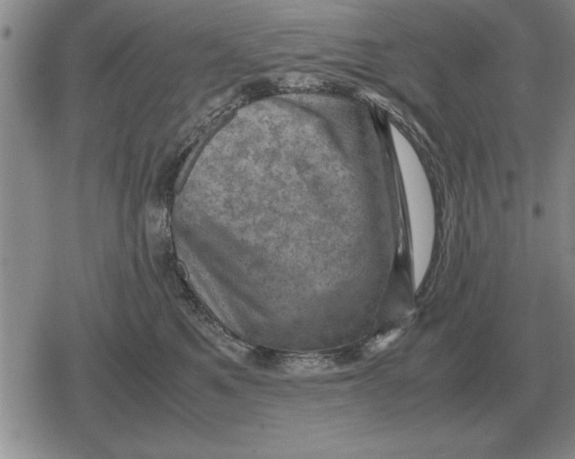 X0000079280521200612081756