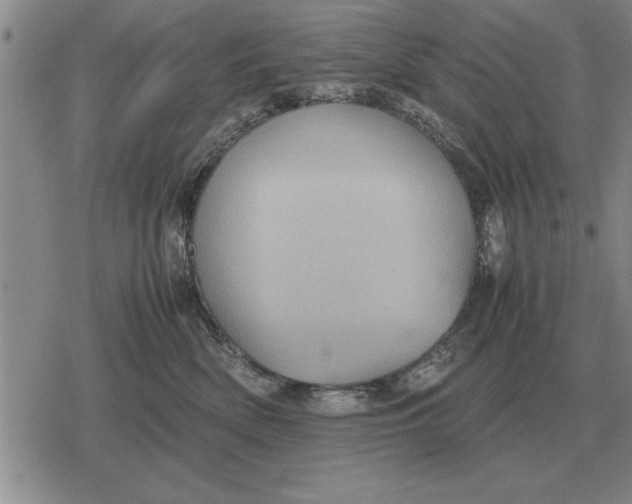 X0000079280522200612081756