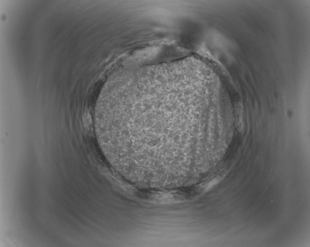 X0000079280523200612081756