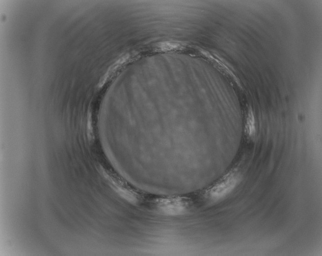 X0000079280524200612081756