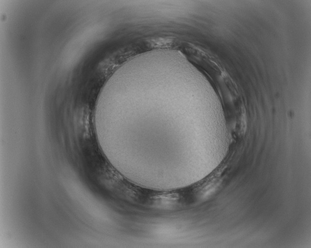 X0000079280525200612081756