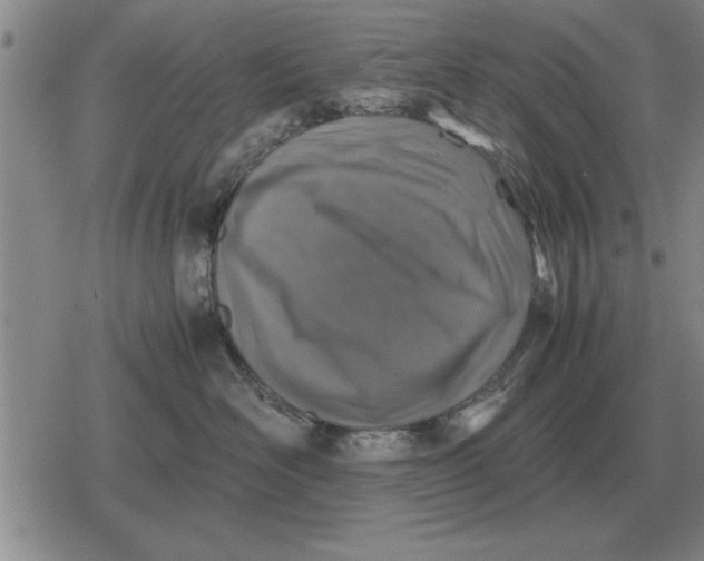 X0000079280526200612081756