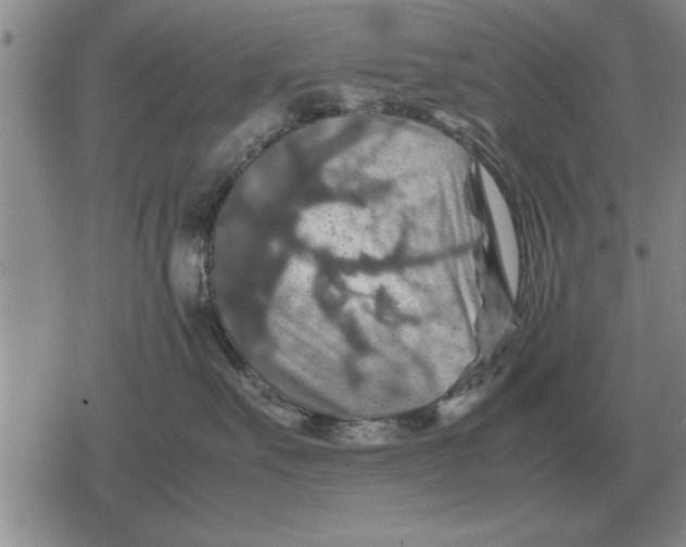 X0000079280527200612081756