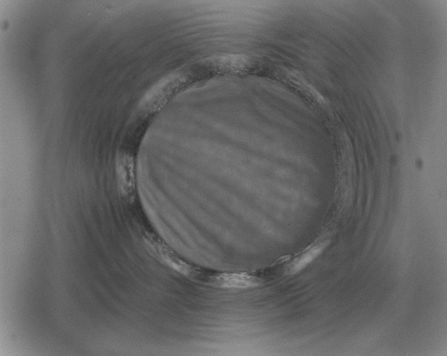 X0000079280528200612081756