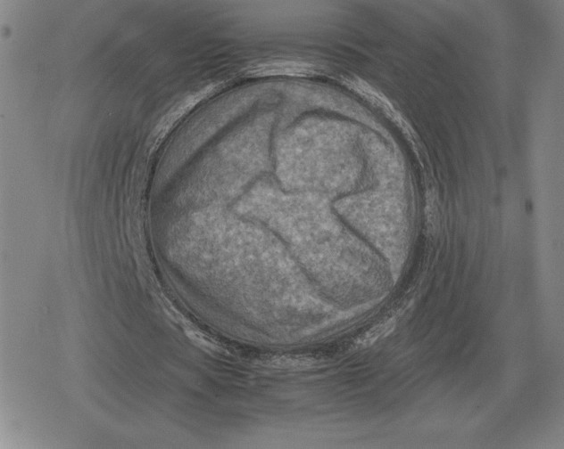 X0000079280529200612081755