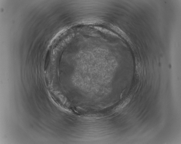 X0000079280530200612081755