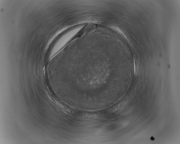 X0000079280531200612081755