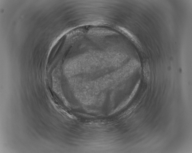 X0000079280532200612081755