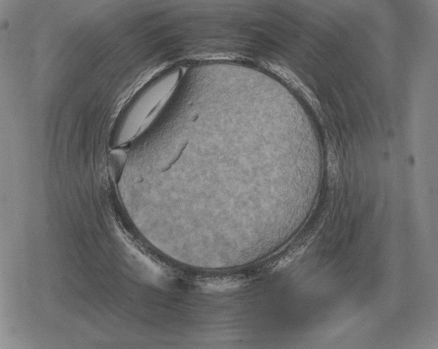 X0000079280533200612081755