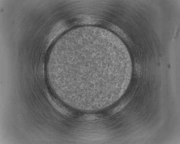 X0000079280534200612081755