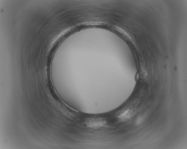 X0000079280535200612081755