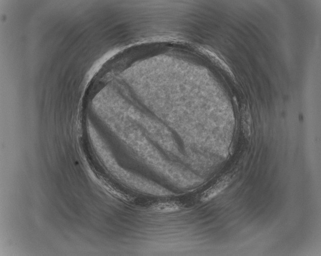 X0000079280536200612081755