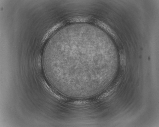 X0000079280537200612081755