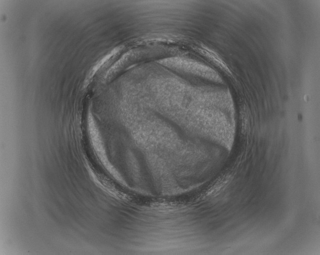 X0000079280538200612081755