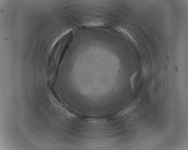 X0000079280539200612081755